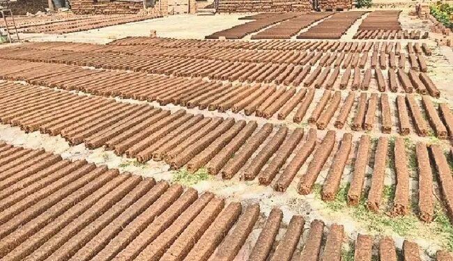 गोबर से बने उत्पाद: पर्यावरण और अर्थव्यवस्था के लिए वरदान