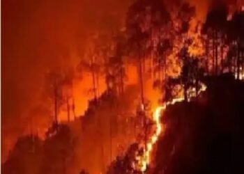 केंद्रीय मंत्री ने आग के प्रबंधन एवं नियंत्रण समीक्षा बैठक की अध्यक्षता की