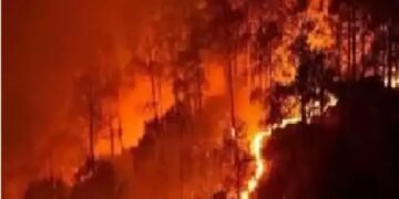 केंद्रीय मंत्री ने आग के प्रबंधन एवं नियंत्रण समीक्षा बैठक की अध्यक्षता की