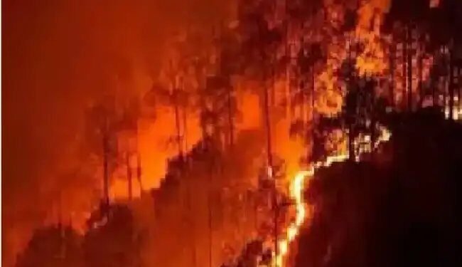 केंद्रीय मंत्री ने आग के प्रबंधन एवं नियंत्रण समीक्षा बैठक की अध्यक्षता की