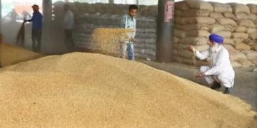 FCI का गेहूं खरीद आंकड़े ने तोड़े रिकॉर्ड, DBT के जरिए किसानों के खाते में आए 61 लाख