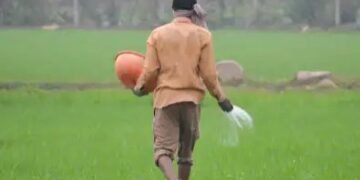 बिहार के 13 लाख किसानों को नहीं मिलेगी पीएम किसान निधि, जानें वजह
