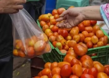 सबसे सस्ते दामों पर NCCF बेच रहा टमाटर, इन इलाकों पर वैन मौजूद