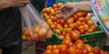 सबसे सस्ते दामों पर NCCF बेच रहा टमाटर, इन इलाकों पर वैन मौजूद