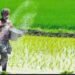 पीएम किसान निधि की 18वीं किस्त के लिए जरूरी ये काम, जल्द करें वरना नहीं मिलेगा पैसा