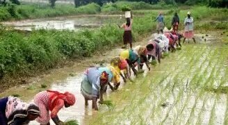 झारखंड किसानों का 400 करोड़ ऋण माफ, इस योजना से मिली सौगात