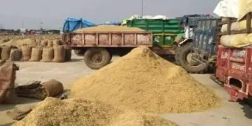 किसानों की सारी उपज खरीदेगी सरकार, राज्य कृषि मंत्री ने कही ये बात!