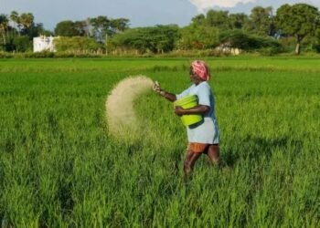 नकली कीटनाशक और खाद पर मोदी सरकार का एक्शन मोड, 7 साल तक की जेल का प्रावधा
