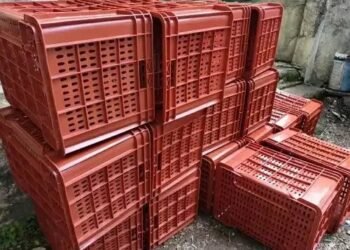 फल रखने के लिए किसानों को प्लास्टिक पर मिल रही बंपर सब्सिडी, ऐसे करें आवेदन