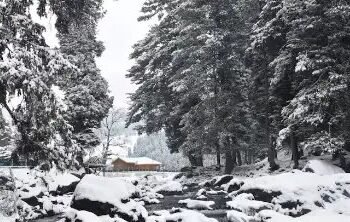 कहीं शुरु हुई बर्फबारी तो कहीं कोहरे का अलर्ट, जानें क्या है मौसम का हाल?