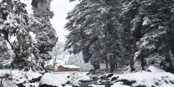 कहीं शुरु हुई बर्फबारी तो कहीं कोहरे का अलर्ट, जानें क्या है मौसम का हाल?
