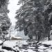 कहीं शुरु हुई बर्फबारी तो कहीं कोहरे का अलर्ट, जानें क्या है मौसम का हाल?