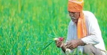 PM Kisan Nidhi: अगली किश्त का लाभ लेने के लिए जरूर जमा करा लें ये दस्तावेज!