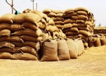 खुदरा विक्रेताओं, प्रोसेसर्स/मिलर्स के लिए चावल/धान के स्टॉक की जानकारी देना अनिवार्य