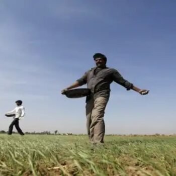 XTYxeGsikdh1ZncvnA9U