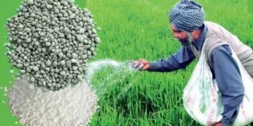 फसल में नहीं छिड़कन पड़ेगा यूरिया, बीजों में डालें ये दो जैविक खाद