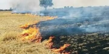 पराली से दिल्ली की हवा फिर होगी दूषित? पंजाब में बढ़ा आकड़ा