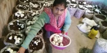 UP में आज से शुरु हुई Mushroom Farming Training, जल्द करें आवेदन