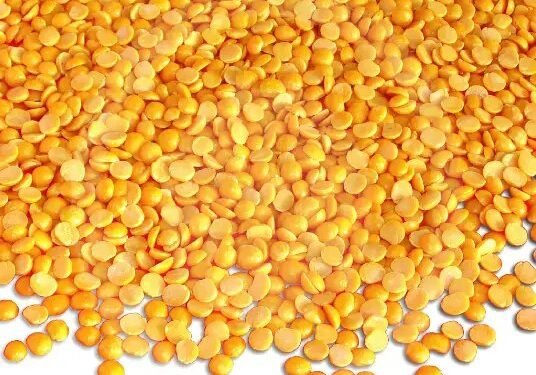 तुअर कीमतों में गिरावट, MSP पर बढ़ी खराद, अगले महीने से बेच सकेंगे दाल!