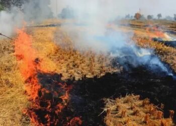 पराली जलाई तो भुगतना पड़ेगा अंजाम, मोहन सरकार का बड़ा फैसला