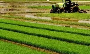 अच्छे मानसून के पूर्वानुमान से कृषि की संभावनाएं जगी