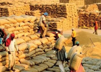 केंद्रीय मंत्री की लोगों से अपील, देश में अनाज का पर्याप्त भंडार…. ‘पैनिक के हालात न बनाएं’,