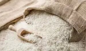 चावल का स्टॉक बफर से चार गुना