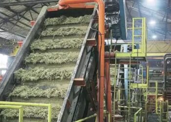 भारतीय चीनी मिलों के हुए निर्यात के सौदे, जानें क्या हैं कीमतें और क्या होगा फायदा?