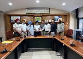 पीएयू ने बासमती धान में फुट रोट प्रबंधन के लिए पहला जैव नियंत्रण एजेंट पंजीकृत किया