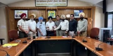 पीएयू ने बासमती धान में फुट रोट प्रबंधन के लिए पहला जैव नियंत्रण एजेंट पंजीकृत किया