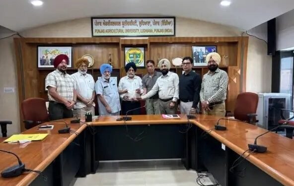 पीएयू ने बासमती धान में फुट रोट प्रबंधन के लिए पहला जैव नियंत्रण एजेंट पंजीकृत किया