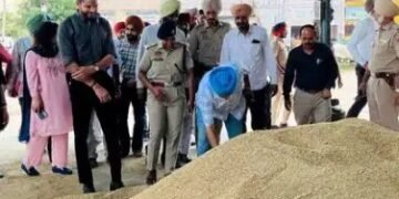 लुधियाना डिप्टी कमिश्नर ने किया अनाज मंडी का दौरा, पढ़ें पूरी खबर..