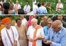 प्रधानमंत्री मोदी ने आईसीएआर द्वारा विकसित 109 उच्च उपज वाली बीज किस्में जारी कीं