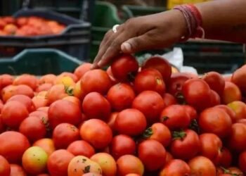 मदनपल्ली के टमाटर को मिलने जा रही सबसे बड़ी उपलब्धि, GI टैग होगा हासिल