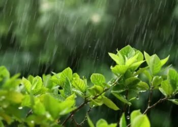 IMD ने इन राज्यों में बताई बारिश की संभावना, दिल्लीवासियों को गर्मी से राहत