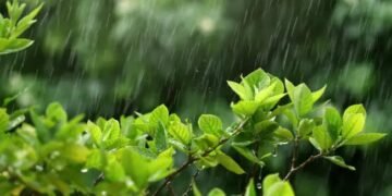 IMD ने इन राज्यों में बताई बारिश की संभावना, दिल्लीवासियों को गर्मी से राहत