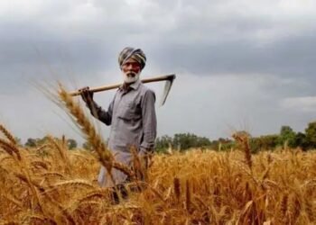 फॉस्फेटिक खादों पर मिलेगी 37,216 करोड़ की सब्सिडी, जानें क्या होगी कीमत?