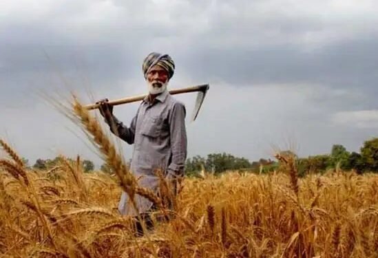 फॉस्फेटिक खादों पर मिलेगी 37,216 करोड़ की सब्सिडी, जानें क्या होगी कीमत?