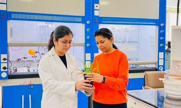 आईआईटी मंडी के शोधकर्ताओं ने टिकाऊ कृषि के लिए प्राकृतिक पॉलीमेरिक माइक्रोजेल विकसित