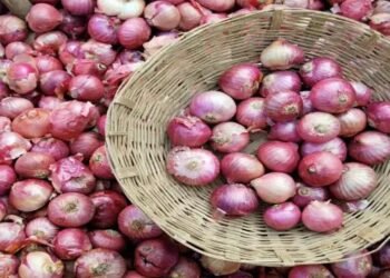 प्याज के दामों में हुई बढ़ोतरी, जानें क्या हैं मंडी रेट