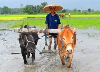 मणिपुर के किसानों को मिली सौगात, हींसा प्रभावितों को मिलेगा मुआवजा