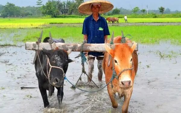 मणिपुर के किसानों को मिली सौगात, हींसा प्रभावितों को मिलेगा मुआवजा