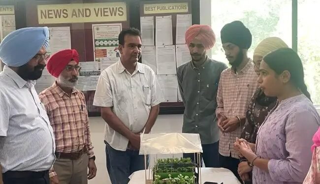पंजाब कृषि विश्वविद्यालय में सब्जी उत्पादन मॉडलों की प्रदर्शनी का आयोजन