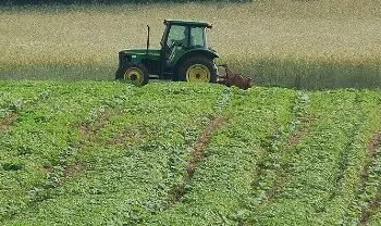 योगी सरकार बढ़ाएगी प्राकृतिक खेती, खर्च होंगे 272 करोड़, जानें क्या है प्लान?