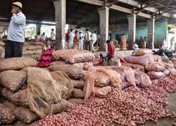 प्याज की कीमतों में एक बार फिर उछाल, 44080 पहुंचा दाम!