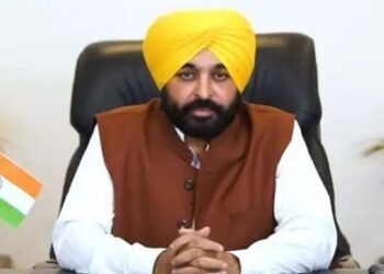 पंजाब सरकार के कीटनाशक बैन पर हाईकोर्ट ने लगाई रोक: निर्यातकों और उद्योग के बीच तनाव