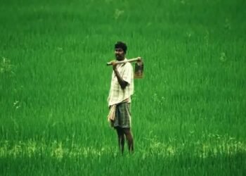किसानों की आय दोगुनी करने के लिए केंद्र सरकार का बहुआयामी प्रयास