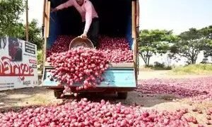 प्याज की कीमतों में बढ़ोतरी से पूरे भारत में जेब ढीली हो रही है
