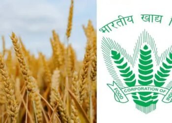 केंद्र ने एफसीआई को वित्त वर्ष 2025 का 80% बकाया जारी किया