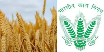 केंद्र ने एफसीआई को वित्त वर्ष 2025 का 80% बकाया जारी किया